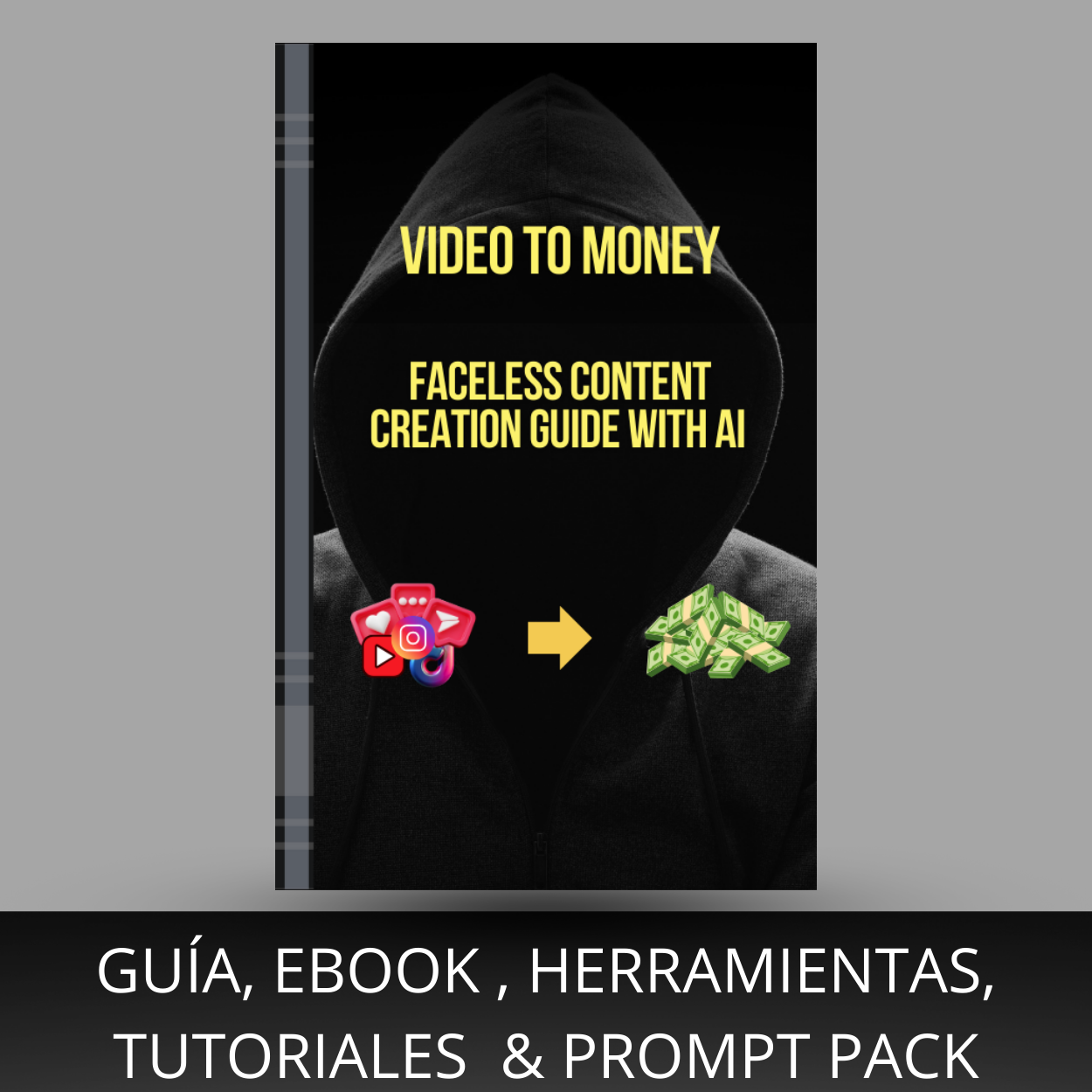 GUÍA VTM